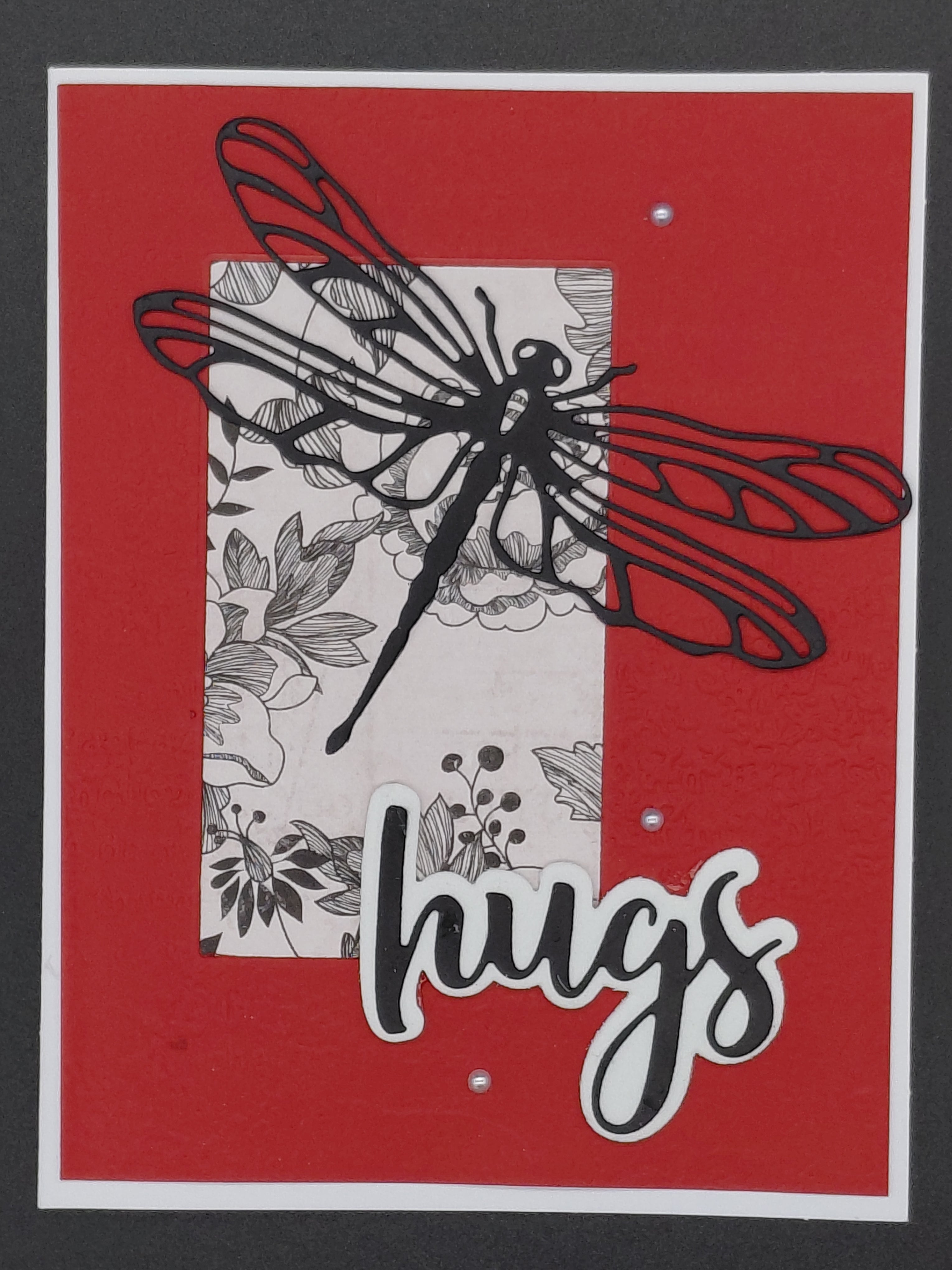 Dragonfly Hugs
