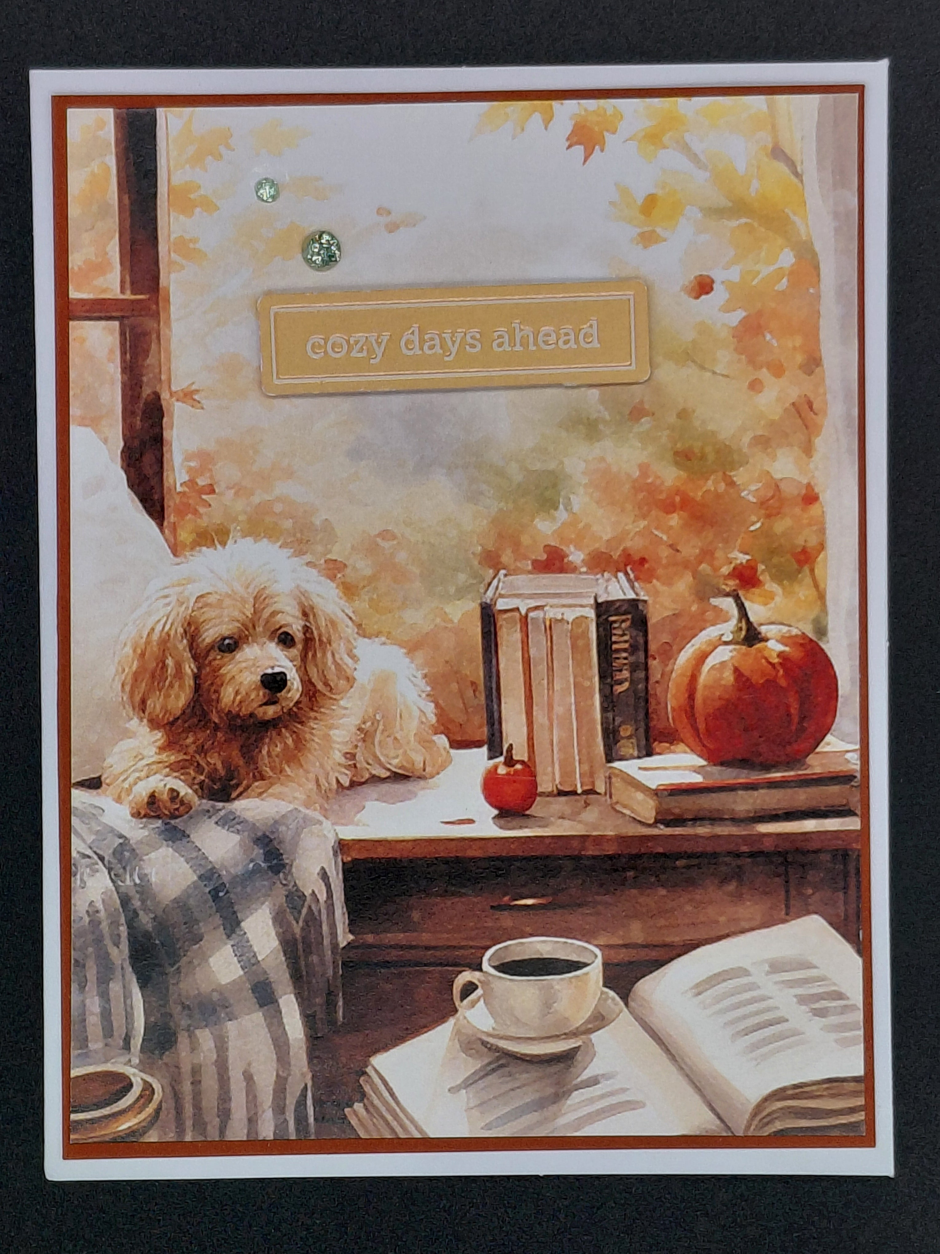 Cozy Days Ahead