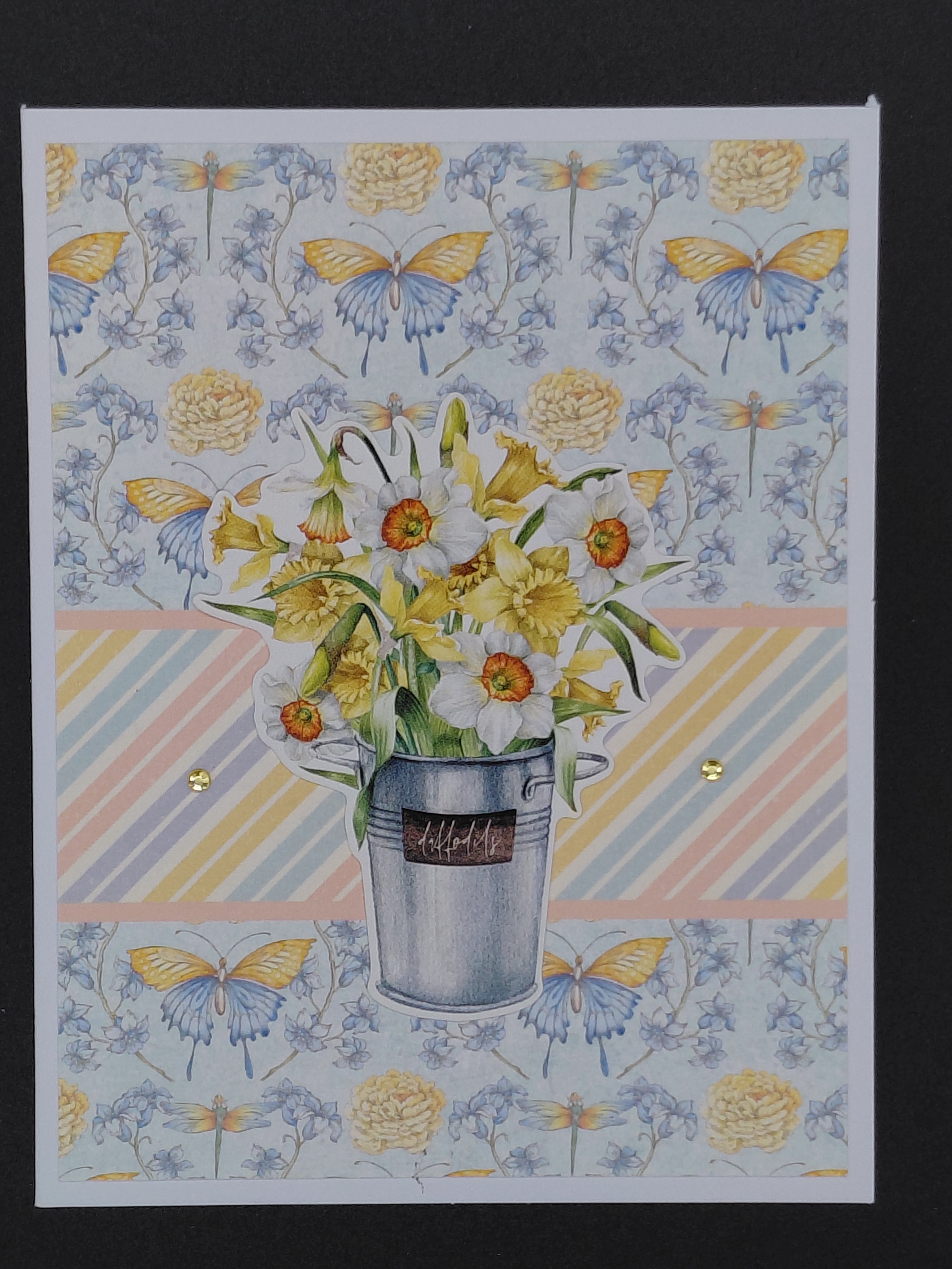 Daffodils