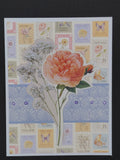 Pink Carnation