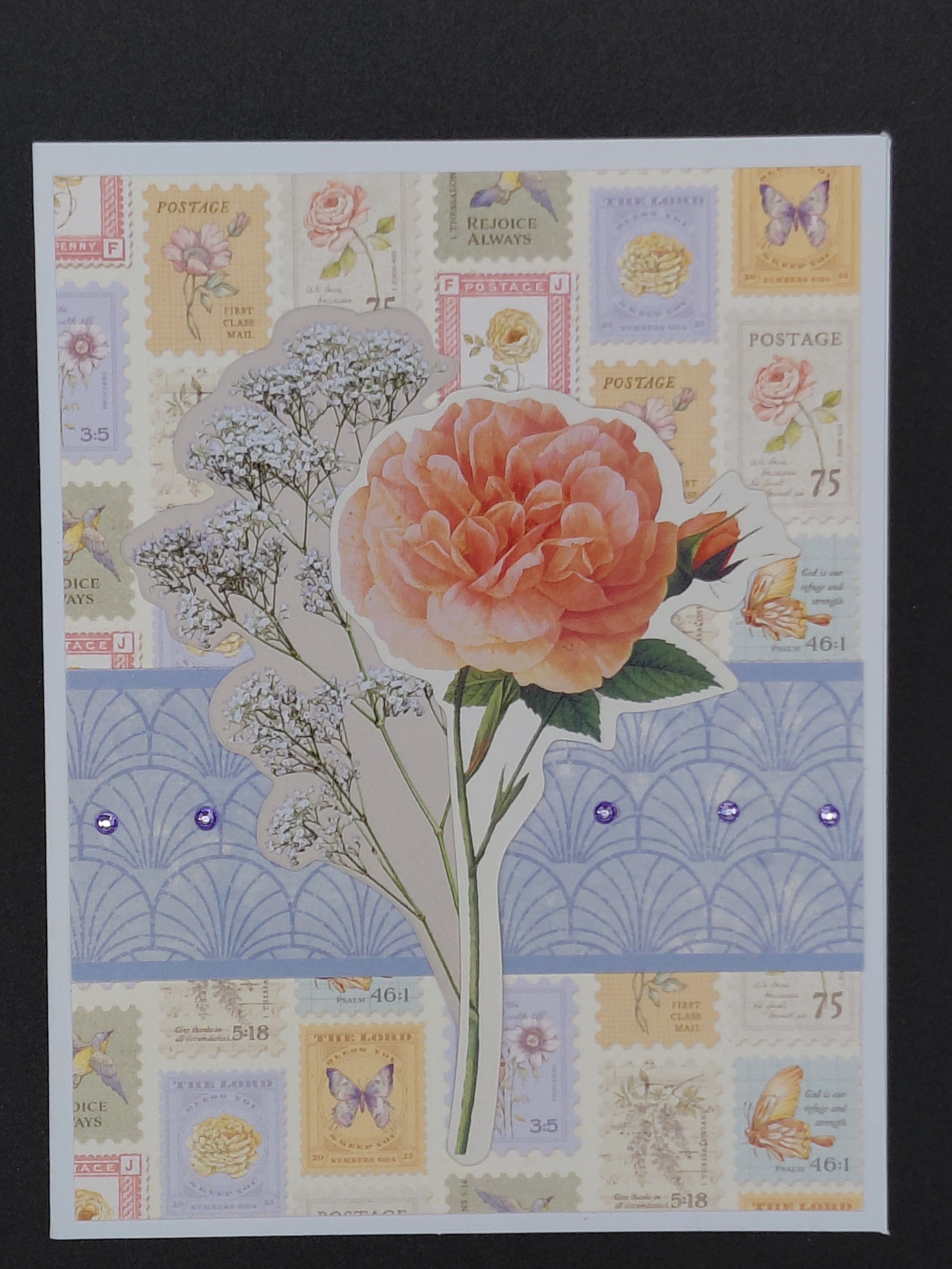 Pink Carnation